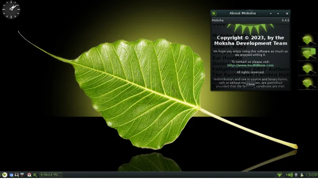 Bodhi Linux Speed with Style