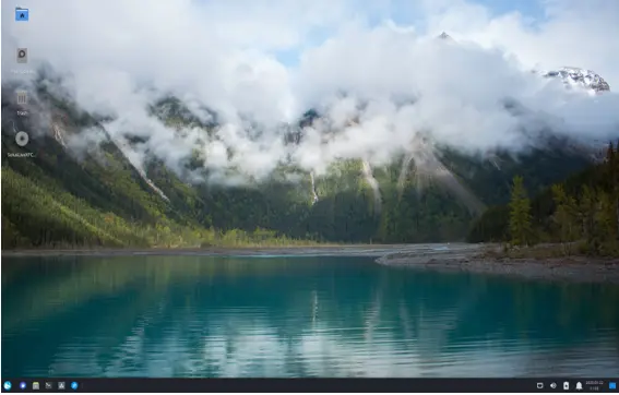 Solus The Budgie Beauty