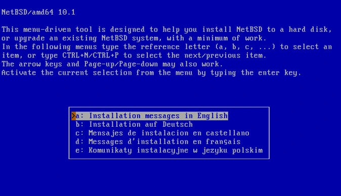 install NetBSD 10.1